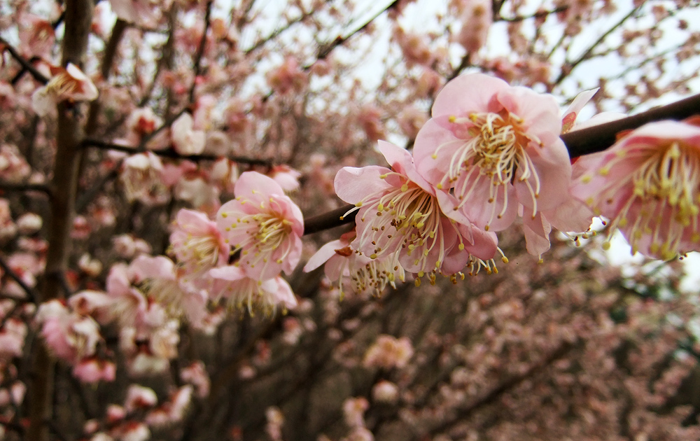 2012.02.28,Ȣ,˺餤ɤβ