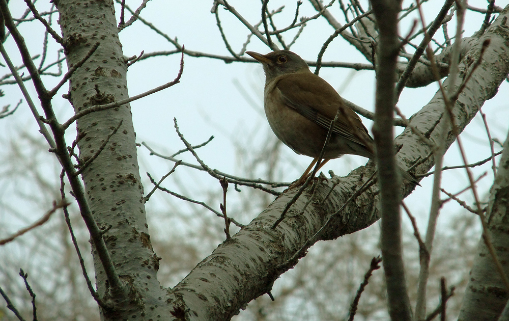 2012.02.28,Ȣ,βʤˤפ